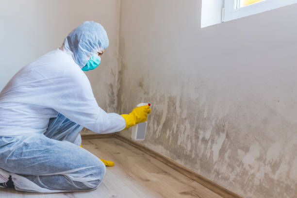 Mold inspector in Churchville performing thermal imaging